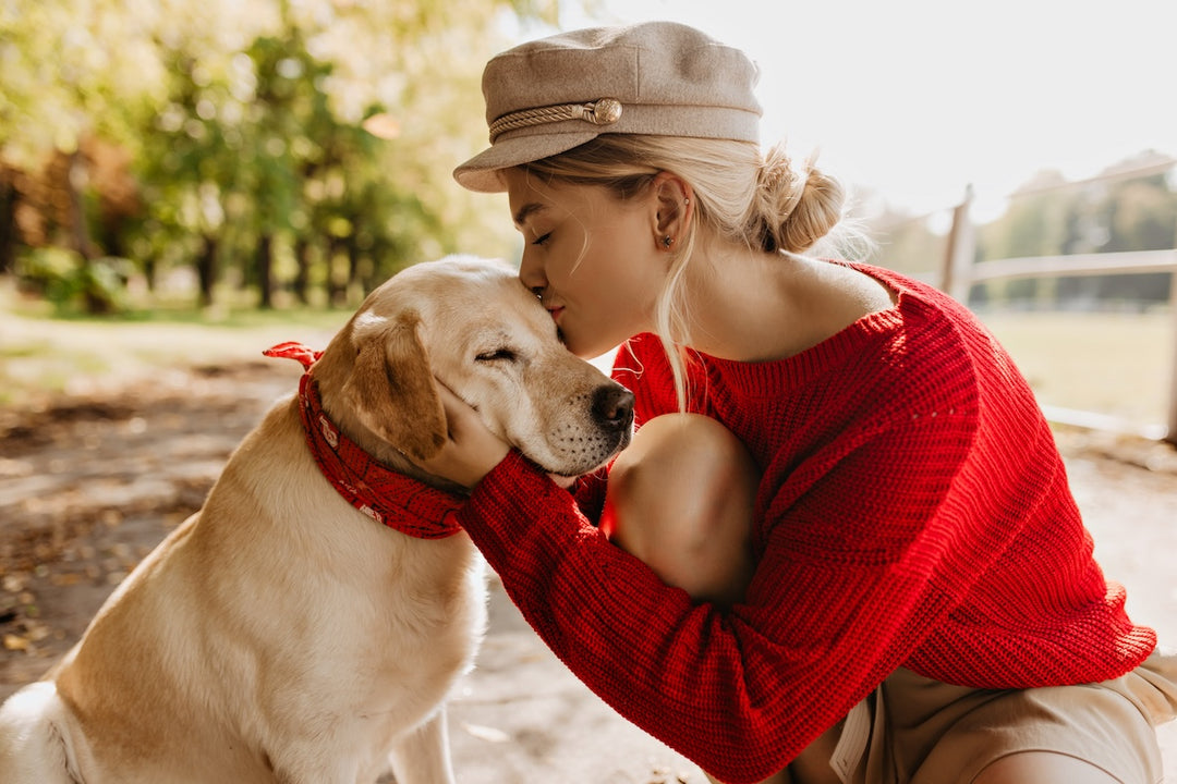 Why The Connection Between Humans And Dogs Is So Strong