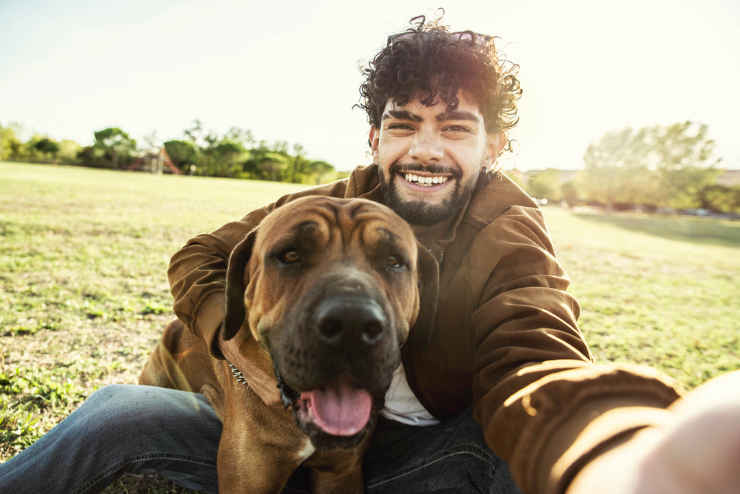 The Importance of Allowing Your Dog To Sniff During Its Walks