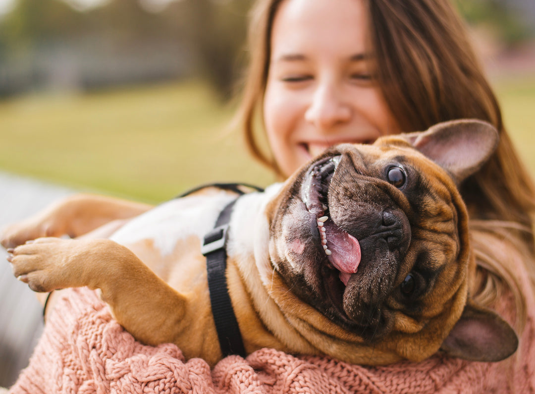 A lady holding a dog in her arms